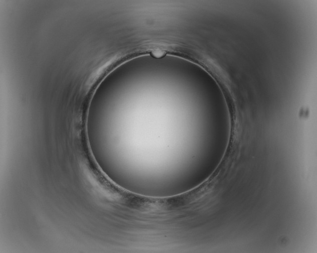 X0000113040107200908271515