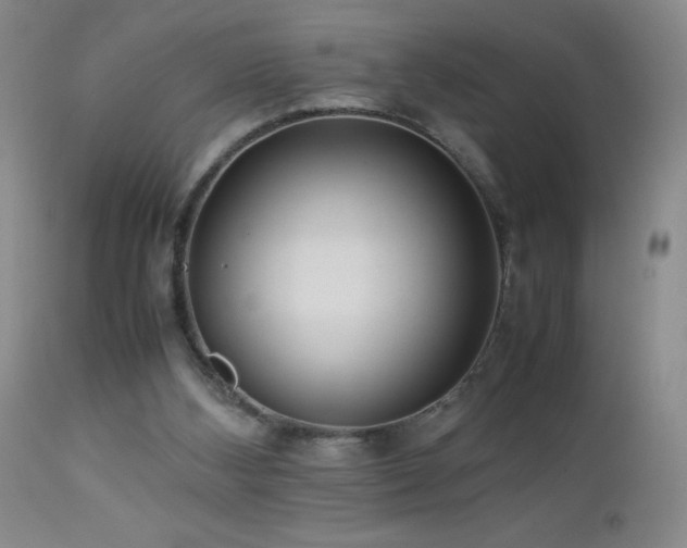 X0000113040108200908271515