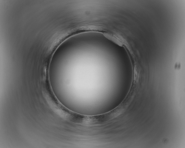 X0000113040109200908271515