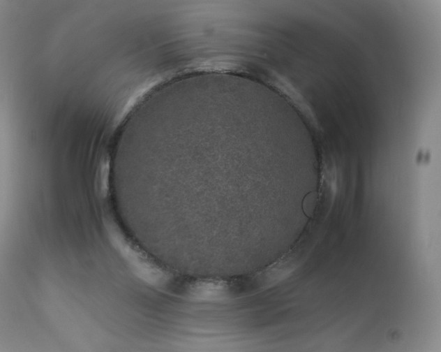 X0000113040110200908271515