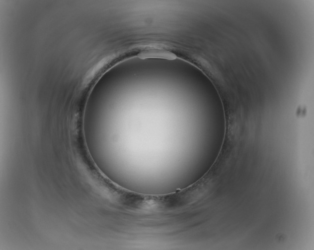 X0000113040111200908271515