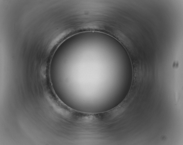 X0000113040112200908271515