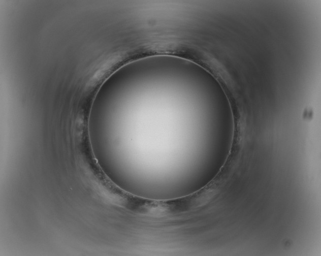 X0000113040113200908271515
