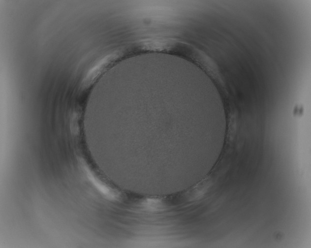 X0000113040114200908271515