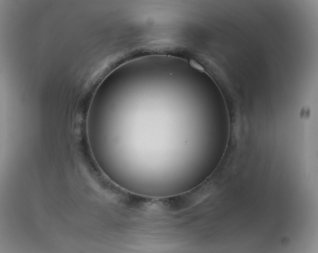 X0000113040115200908271515