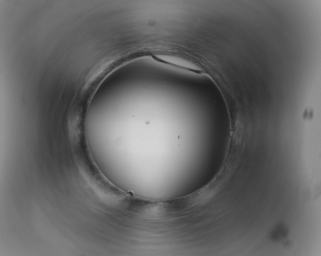 X0000113040116200908271515