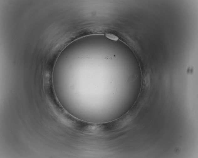 X0000113040117200908271515