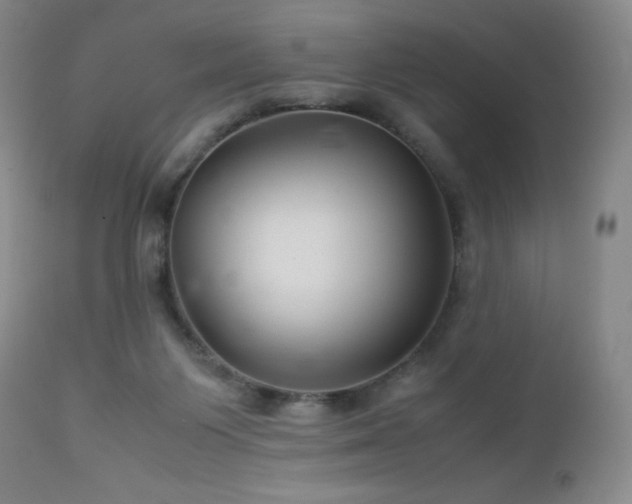 X0000113040119200908271515