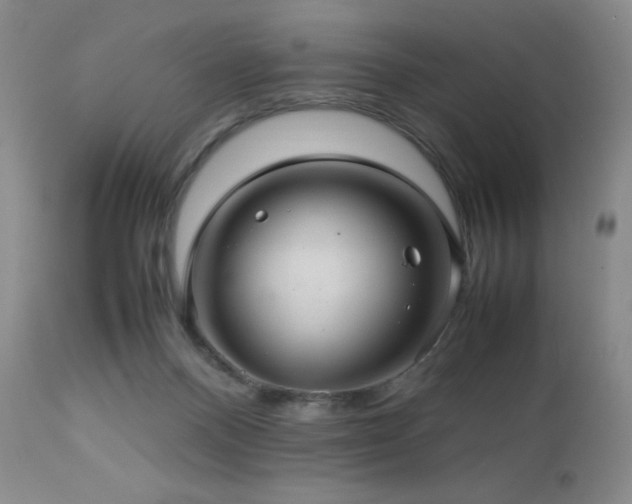 X0000113040120200908271515
