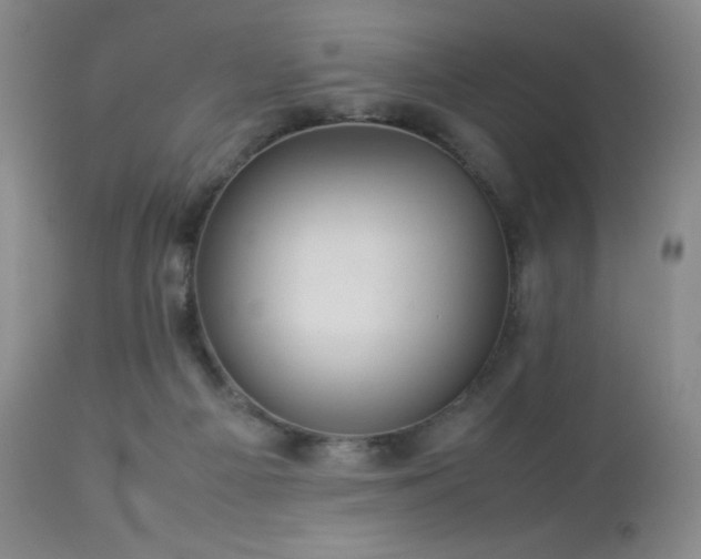 X0000113040121200908271515