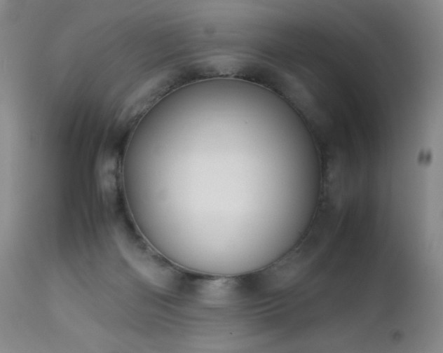 X0000113040122200908271515