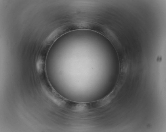 X0000113040124200908271515