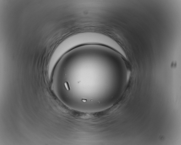 X0000113040125200908271515
