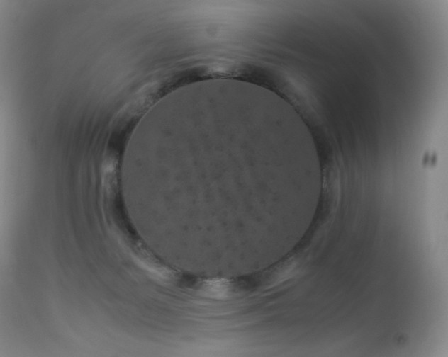 X0000113040127200908271515