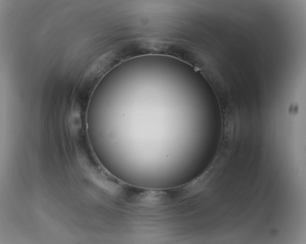 X0000113040128200908271515