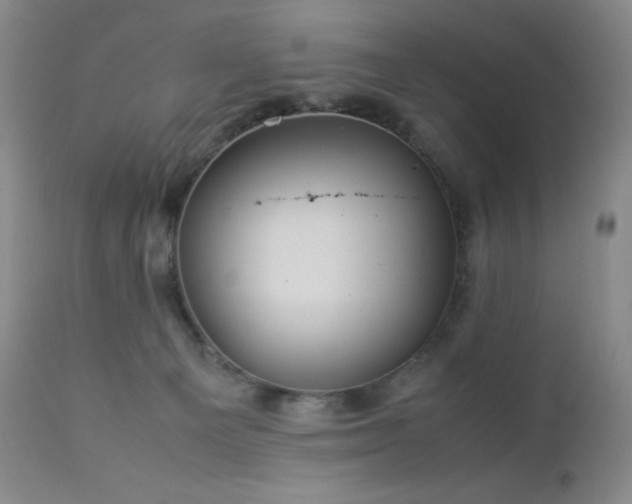 X0000113040129200908271515