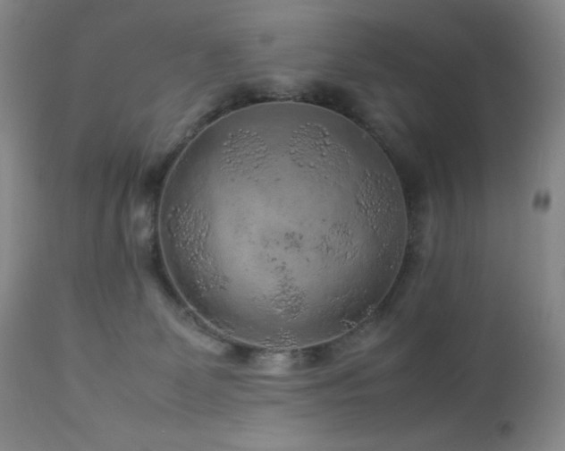 X0000113040131200908271515