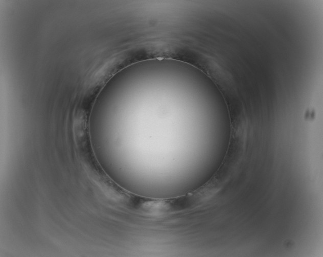 X0000113040133200908271515