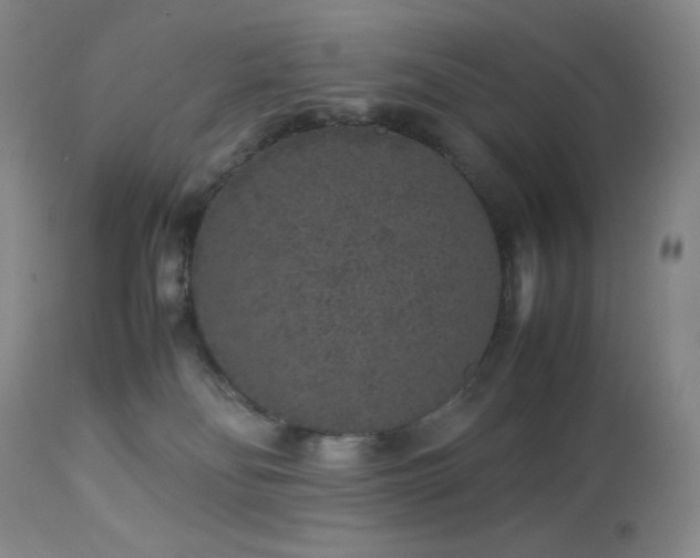 X0000113040134200908271515
