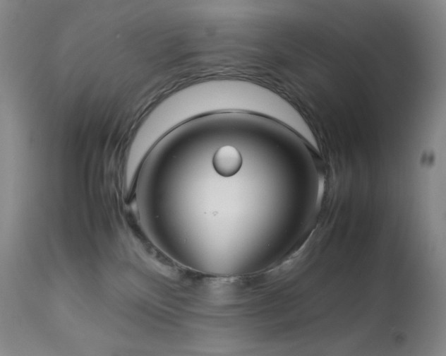 X0000113040136200908271515