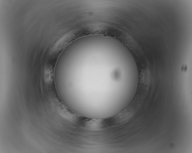 X0000113040138200908271515