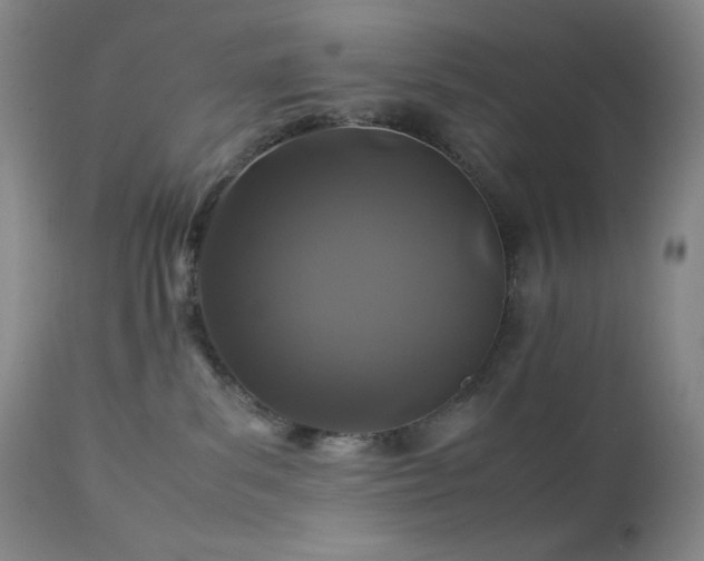 X0000113040139200908271515