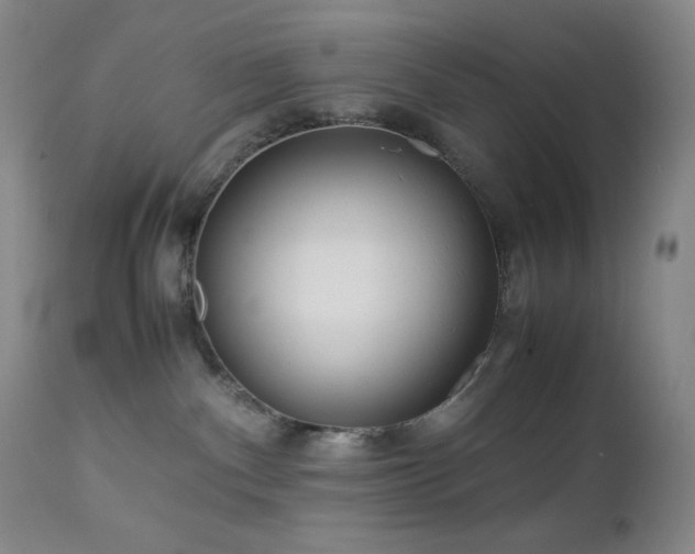 X0000113040140200908271515
