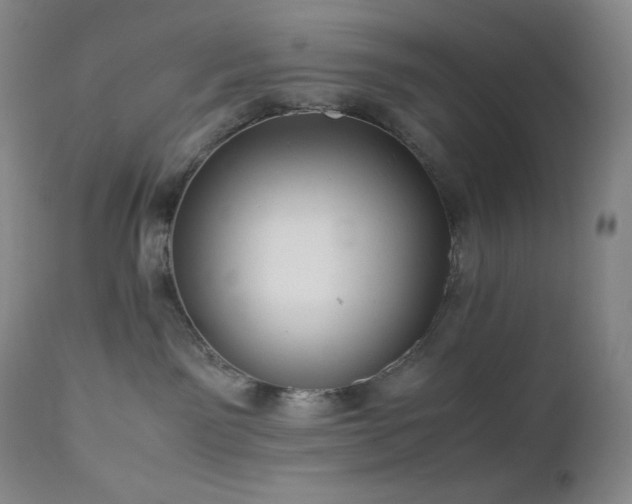 X0000113040141200908271515