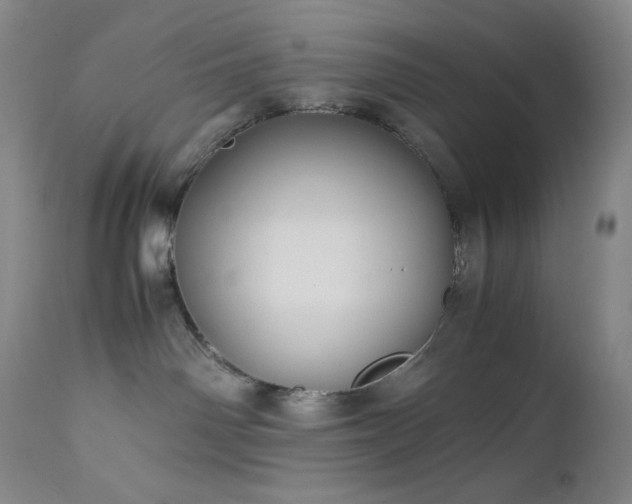 X0000113040142200908271515