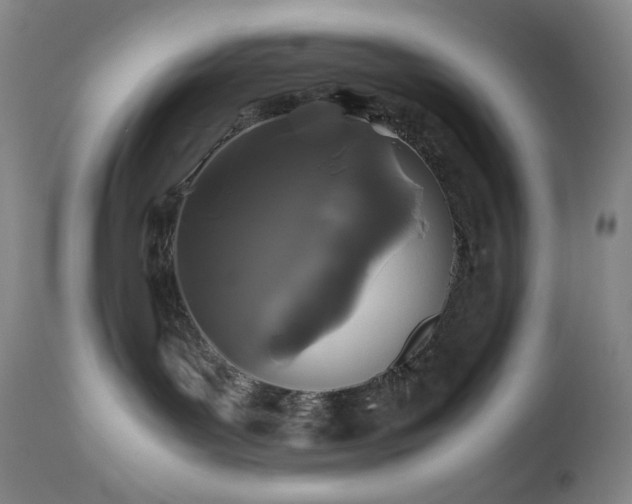 X0000113040143200908271514