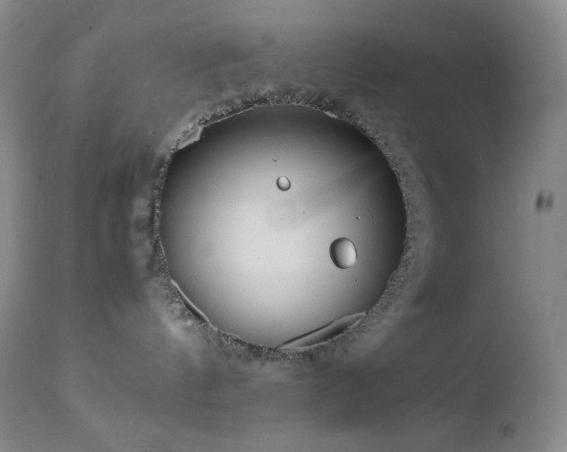 X0000113040144200908271514
