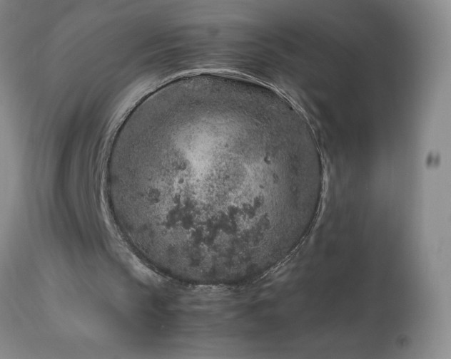 X0000113040145200908271514