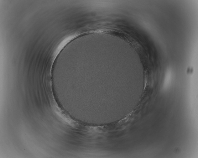 X0000113040147200908271514