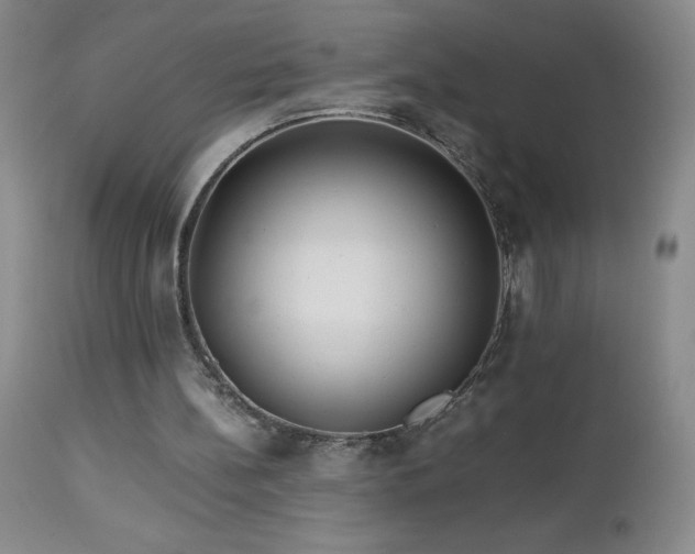 X0000113040148200908271514