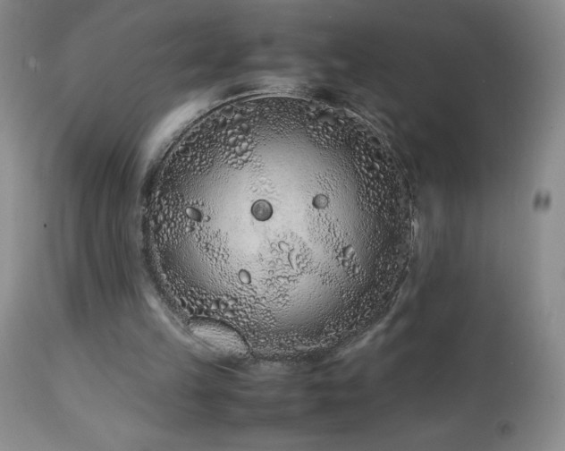 X0000113040149200908271514