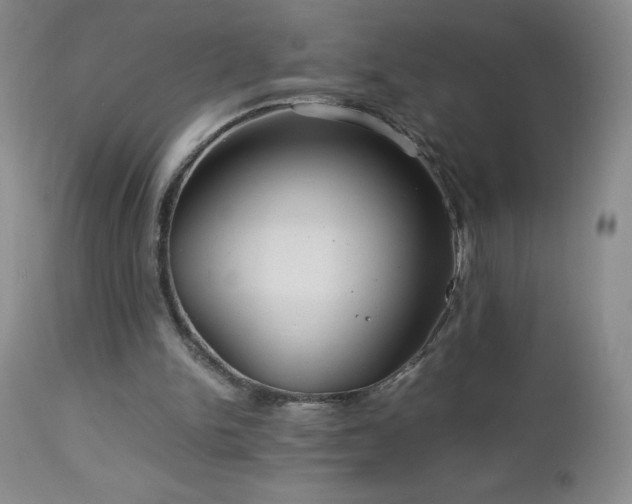 X0000113040150200908271514