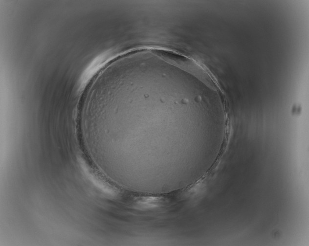 X0000113040151200908271514