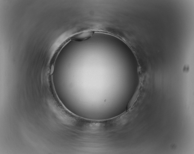 X0000113040152200908271514