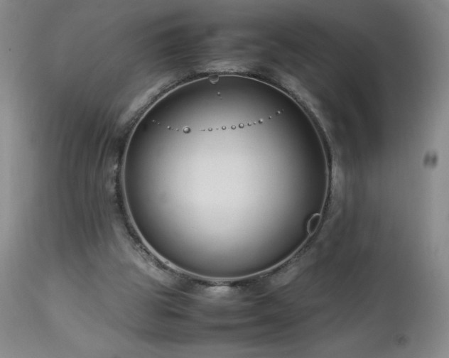 X0000113040153200908271514