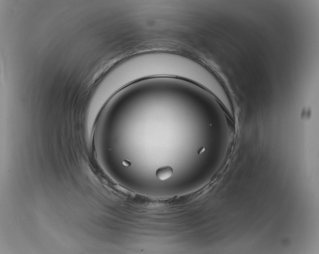 X0000113040154200908271514