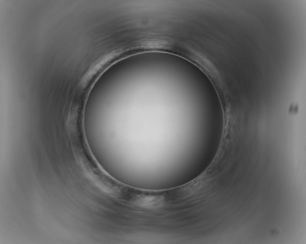 X0000113040155200908271514