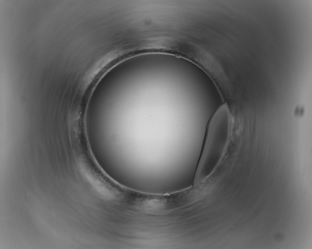 X0000113040156200908271514
