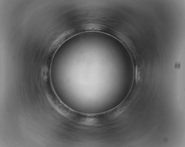 X0000113040157200908271514