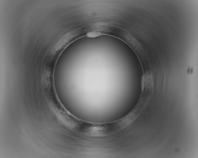 X0000113040158200908271514