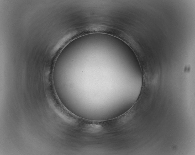 X0000113040159200908271514
