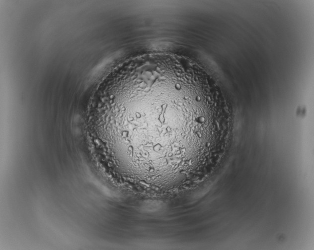 X0000113040161200908271514