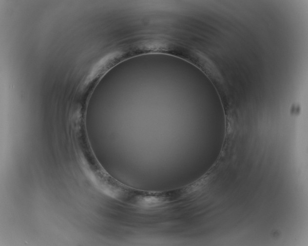 X0000113040163200908271514