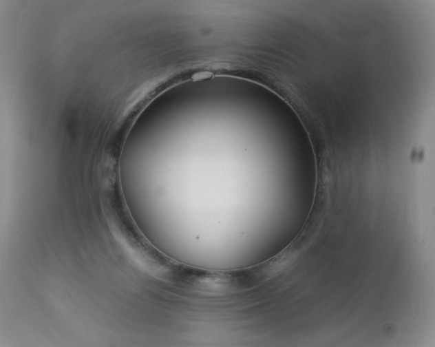 X0000113040164200908271514