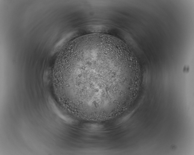X0000113040165200908271514