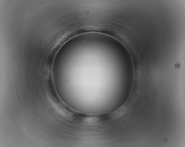 X0000113040168200908271514